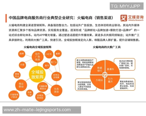 探索体育用品品牌艾高的创新之路与市场影响力分析